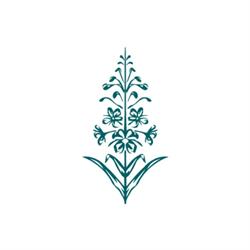 Berkovicz Tatra Cosmetics, Kraków godziny otwarcia