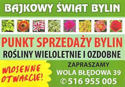 Bajkowy świat bylin, Bratoszewice godziny otwarcia