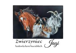 Zwierzyniec Jagi - Stadnina, Stopnica godziny otwarcia