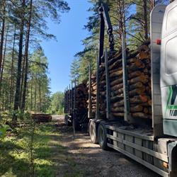 Transport drewna HDS - Skup drewna S2A S2B - FPHU Umiński, Mrągowo godziny otwarcia