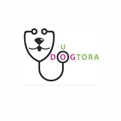 Przychodnia weterynaryjna "u DOGtora", Pruszków godziny otwarcia