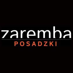 Zaremba Posadzki Michał Zaremba - wykonawca, naprawy posadzek, Wierzbna godziny otwarcia