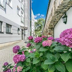 MayApartments, Kraków godziny otwarcia