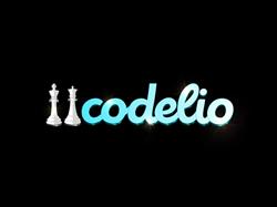 Codelio Web Design - Strony Internetowe i E-commerce, Jędrzejów godziny otwarcia