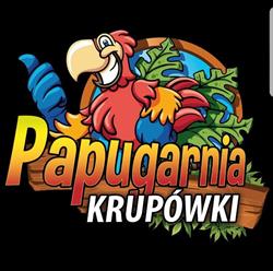 Papugarnia Krupówki Zakopane, godziny otwarcia