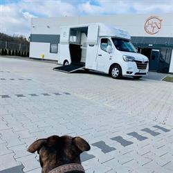 HORSETRANS MURACZEWSKI SP. z o.o. Producent Koniowozów, Konin godziny otwarcia