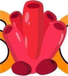 JMCorals.com, Zabiele godziny otwarcia