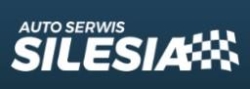 Silesia Przedsiębiorstwo Handlowo Usługowe Rurynkiewicz, Borecki Sp.j., Opole godziny otwarcia