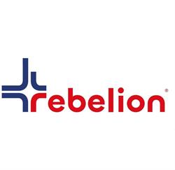 Rebelion Sp. z o.o., Głazica godziny otwarcia