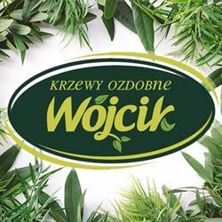 Krzewy Wójcik, Spiczyn godziny otwarcia