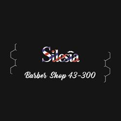 Silesia Hair Clinic & Silesia Barber Shop 43-300, Bielsko-Biała godziny otwarcia