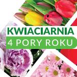 4 Pory Roku Kwiaciarnia Joanna Łucka-Rzychoń, Bytom godziny otwarcia