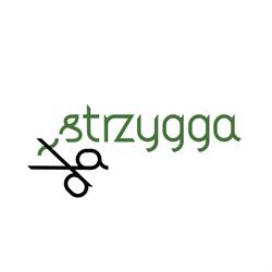 Strzygga - Fryzjer Poznań Rataje, godziny otwarcia