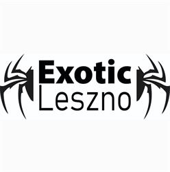 Exotic Leszno - Sklep terrarystyczny i hodowla zwierząt egzotycznych, godziny otwarcia