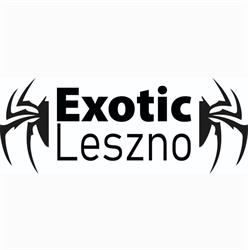 Exotic Leszno - Sklep terrarystyczny i hodowla zwierząt egzotycznych, godziny otwarcia