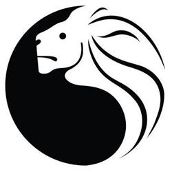 BIAŁY LEW DOJO, Jelenia Góra godziny otwarcia