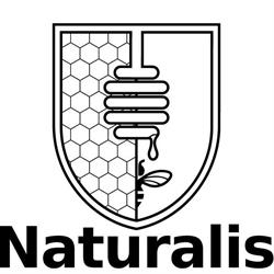 Naturalis naturalne miody mydła i świece, Kruszwica godziny otwarcia