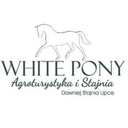Stajnia White Pony, Jurcz godziny otwarcia