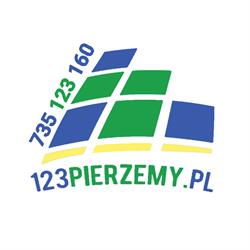 123 PIERZEMY Karcher usługi pranie i czyszczenie tapicerki meblowej, samochodowej oraz wykładzin, Poznań godziny otwarcia
