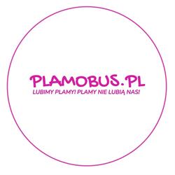 plamobus.pl, Katowice godziny otwarcia