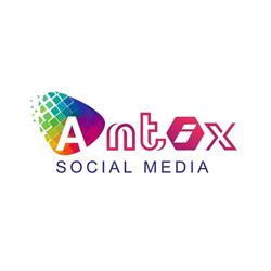 Antix Social Media, Puławy godziny otwarcia