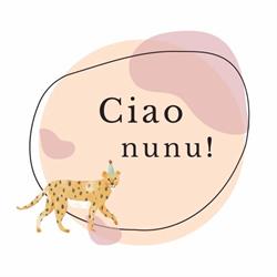 Nununu - bawialnia dla dzieci Kędzierzyn-Koźle, godziny otwarcia