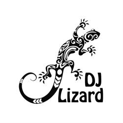 DJ Lizard - dj na wesele lublin, dj lublin, dj wodzirej lublin, dj lubelskie, Lublin godziny otwarcia