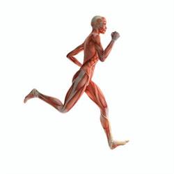 FIZJO-MED FIZJOTERAPIA JOANNA SOBIESZEK SKIERNIEWICE, Skierniewice godziny otwarcia
