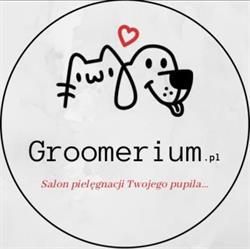 Salon Pielęgnacji Zwierząt- Groomerium Karolina Kuś, Wodzisław Śląski godziny otwarcia