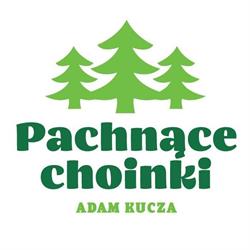 Pachnące Choinki plantacja w Skrzyszowie, Skrzyszów godziny otwarcia