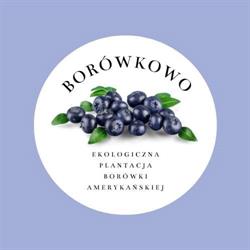 Borówkowo Węgrowski, Jednaczewo godziny otwarcia