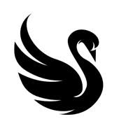 Black Swan Paweł Trzciński, Szczytno godziny otwarcia