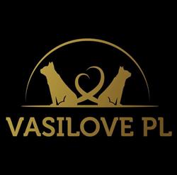 Wielkopolska Hodowla Kotów Rasowych Vasilove*pl, Rogoźno godziny otwarcia