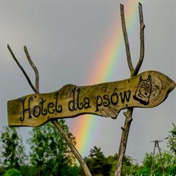 Hotel dla psów i kotów "U Misi", Czarnków godziny otwarcia