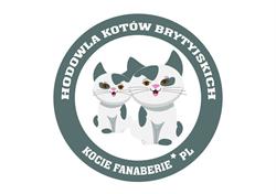 Hodowla Kocie Fanaberie*PL, Śmigiel godziny otwarcia