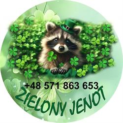 Kwiaciarnia Zielony Jenot, Wałbrzych godziny otwarcia
