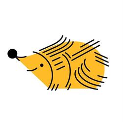 Jeżyk. Gabinet neurologopedyczny, Kłodzko godziny otwarcia