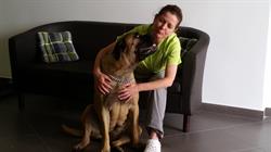 Gabinet Weterynaryjny "Doktor Vet", Bydgoszcz godziny otwarcia