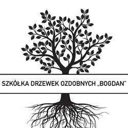 Szkółka drzewek ozdobnych "Bogdan", Klecza Górna godziny otwarcia