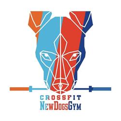 Crossfit New Dogs Gym, Dąbrowa Górnicza godziny otwarcia