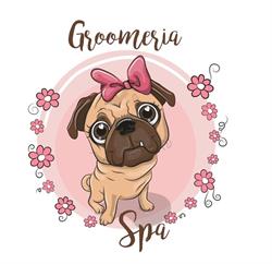 GroomeriaSpa, Żukowo godziny otwarcia