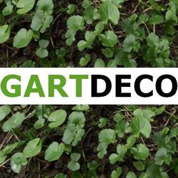 Gartdeco.com, Jaworzno godziny otwarcia