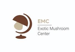 Exotic Mushroom Center- Shiitake i Boczniak Królewski, Krzekotów godziny otwarcia