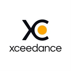 Xceedance Consulting Polska Sp. z o.o., Kraków godziny otwarcia