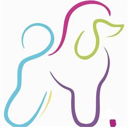 Groomer Królikowska - Psi Fryzjer Kamila Grabowska- Królikowska, Częstochowa godziny otwarcia