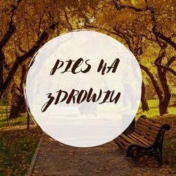 Pies na Zdrowiu, Łódź godziny otwarcia