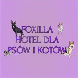 Foxilla szkolenie i hotelik domowy dla psów, Kuropatnik godziny otwarcia