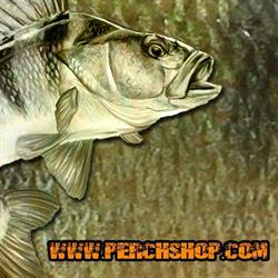 Sklep wędkarski PERCH, Imielin godziny otwarcia