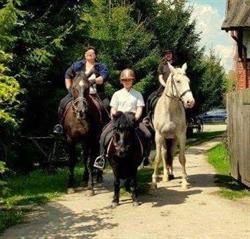Stajnia Nowy Probark 11, godziny otwarcia