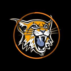 Power Fight House Skawina - Boks, Kickboxing, MMA, Krav Maga, Kopanka godziny otwarcia